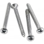 Screws for neck plate mounting- CR/set 4 pcs